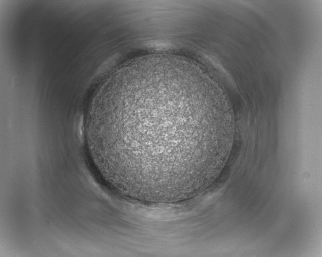 X0000076060024200609291237