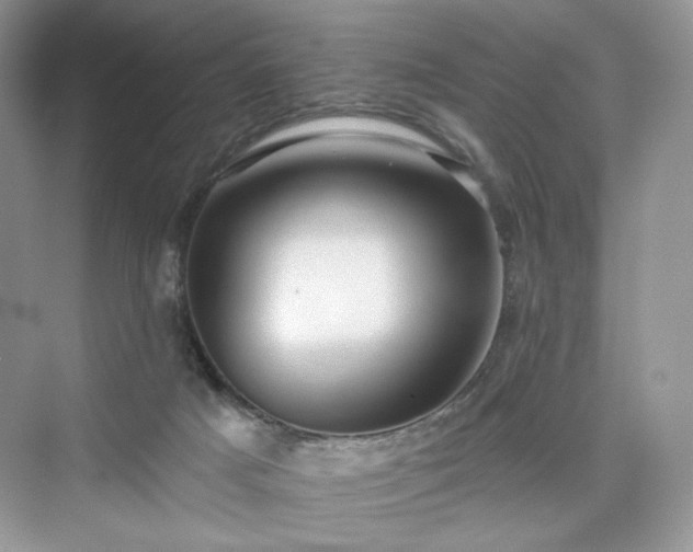 X0000076060025200609291237