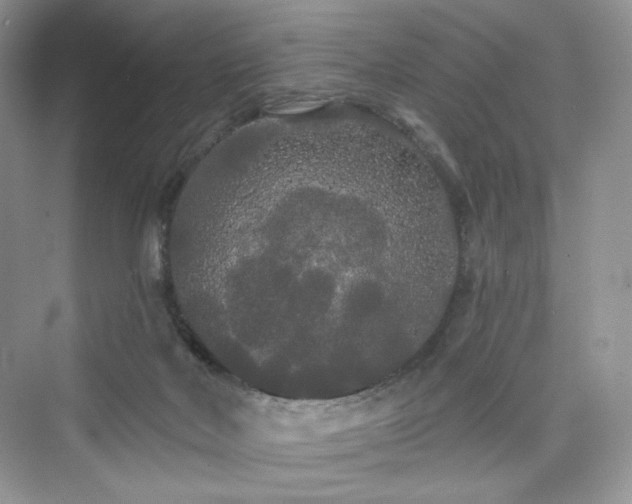 X0000076060026200609291237