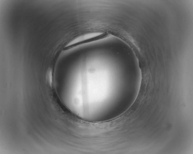 X0000076060027200609291237