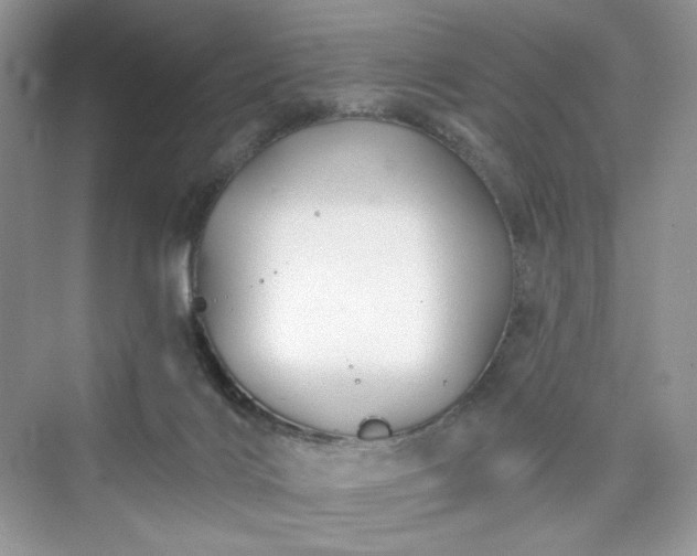 X0000076060028200609291237