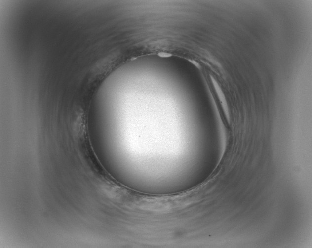 X0000076060029200609291237