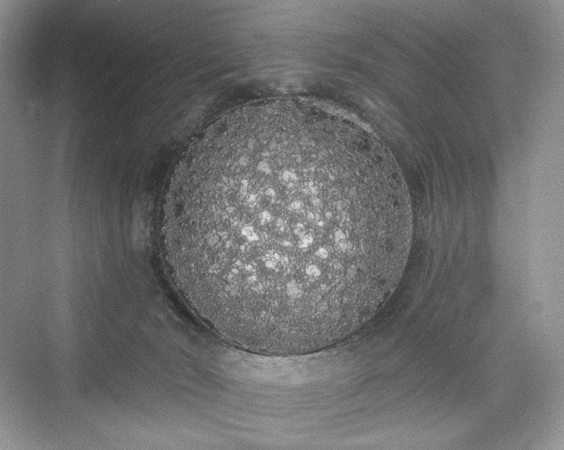 X0000076060030200609291237