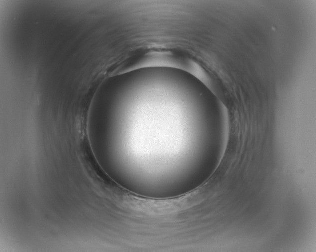 X0000076060031200609291237