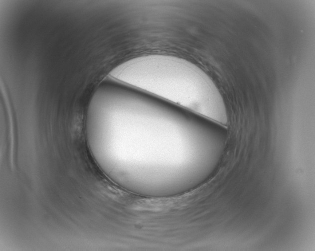 X0000076060033200609291237