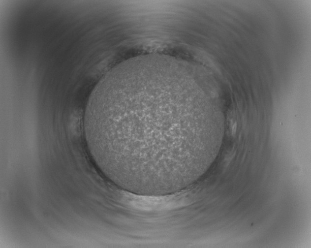 X0000076060034200609291237