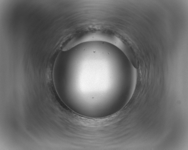 X0000076060035200609291237