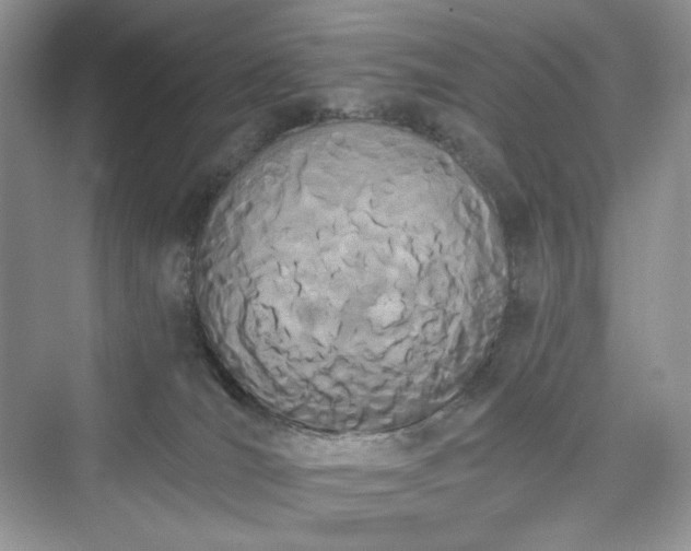 X0000076060036200609291237