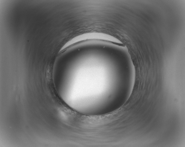 X0000076060037200609291237