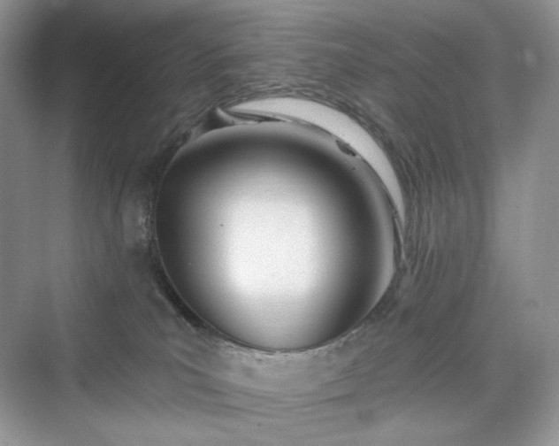 X0000076060039200609291236