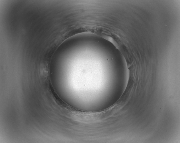 X0000076060040200609291236