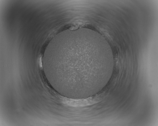 X0000076060042200609291236