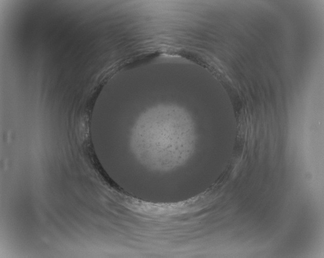 X0000076060043200609291236