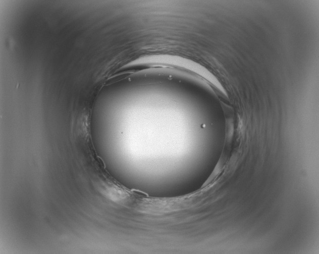 X0000076060045200609291236