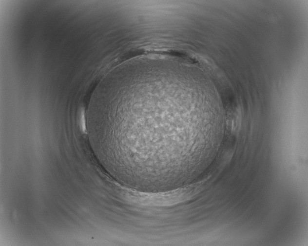 X0000076060046200609291236