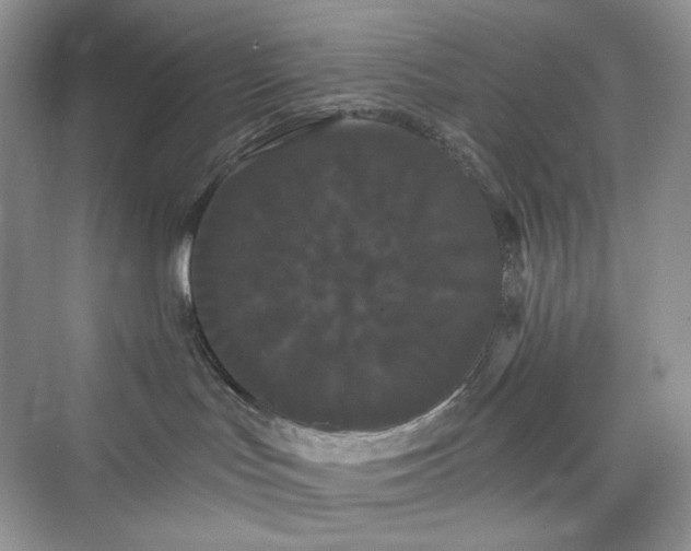 X0000076060047200609291236