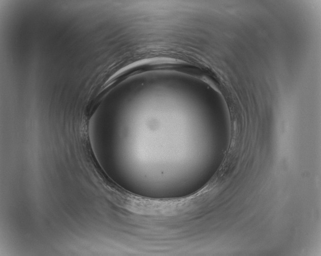 X0000076060048200609291236