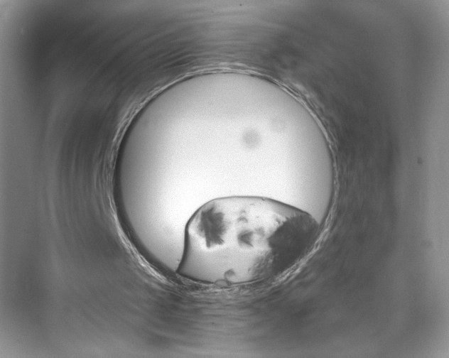 X0000076060049200609291236