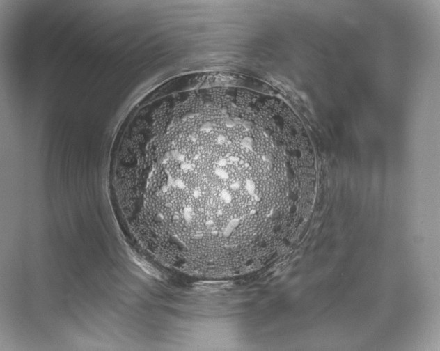 X0000076060051200609291236