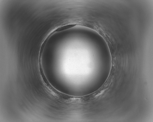 X0000076060052200609291236