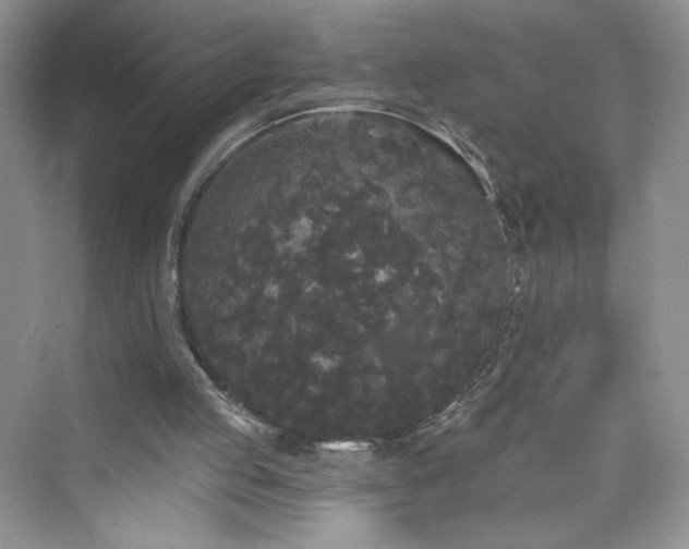 X0000076060053200609291236