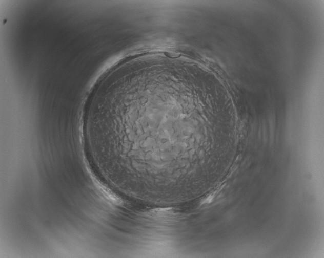 X0000076060054200609291236