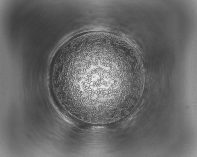 X0000076060055200609291236