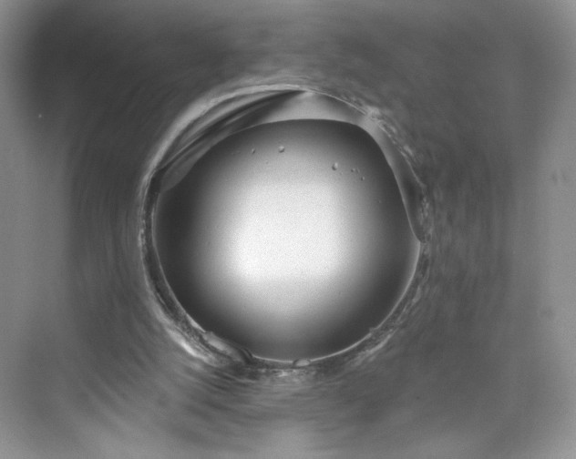 X0000076060056200609291236