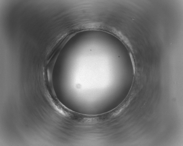 X0000076060057200609291236