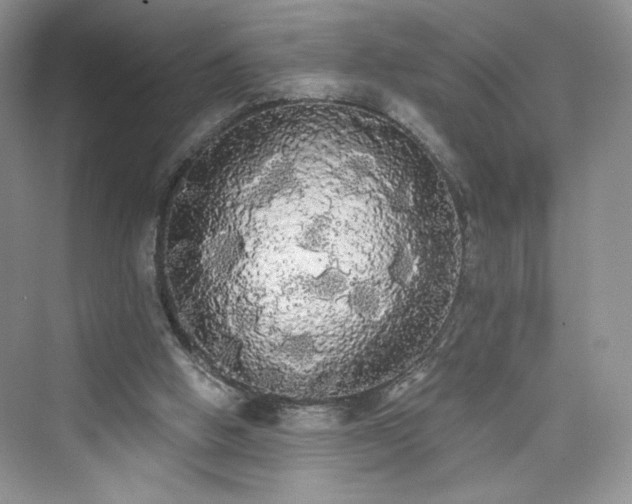 X0000076060058200609291236