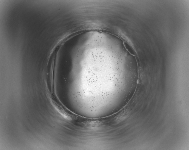 X0000076060059200609291236