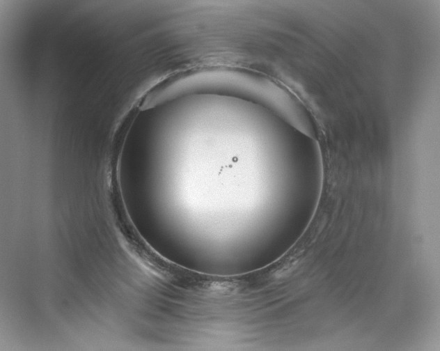 X0000076060060200609291236