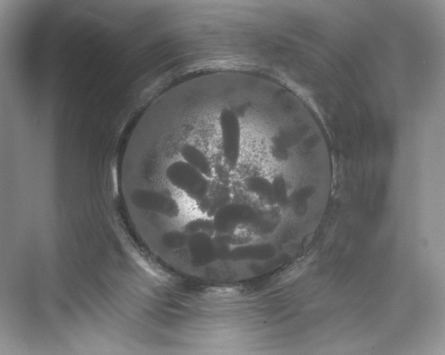 X0000076060061200609291236