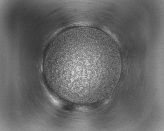 X0000076060062200609291236