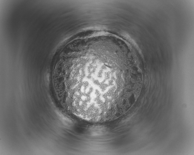 X0000076060063200609291236