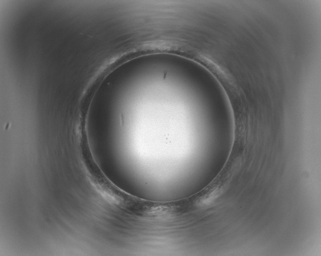 X0000076060064200609291236