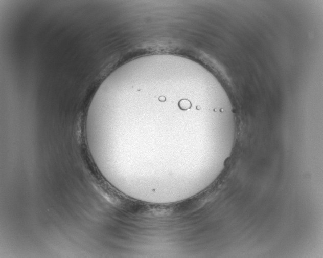 X0000076060065200609291236