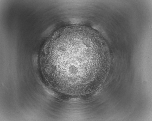 X0000076060066200609291236