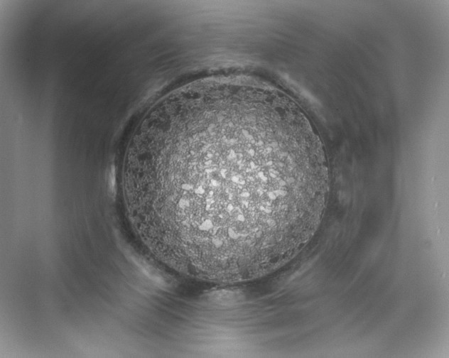 X0000076060067200609291236