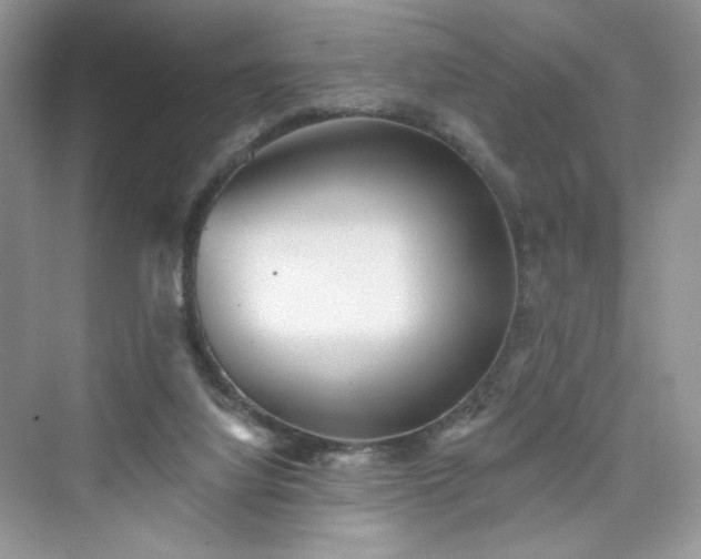 X0000076060068200609291236