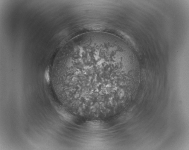 X0000076060069200609291236