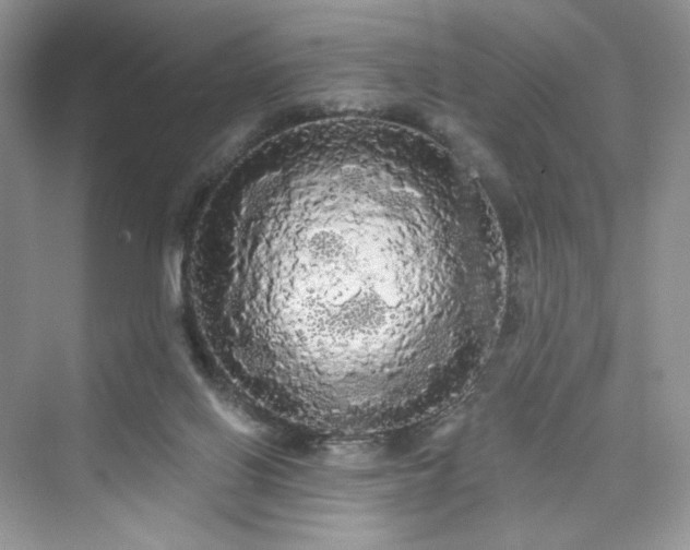 X0000076060070200609291236