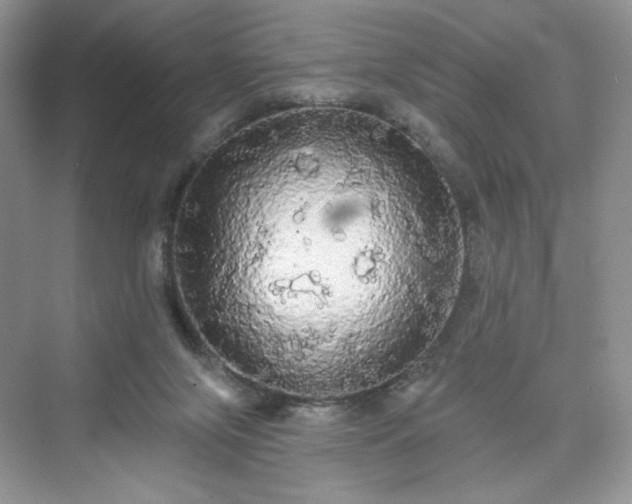 X0000076060071200609291236