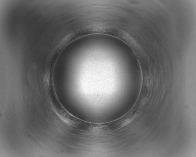 X0000076060072200609291236