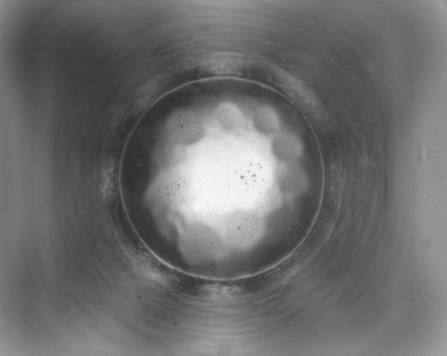 X0000076060073200609291236