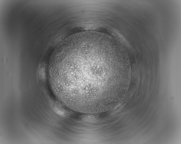 X0000076060074200609291236