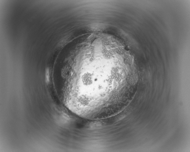 X0000076060075200609291236