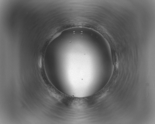 X0000076060076200609291236