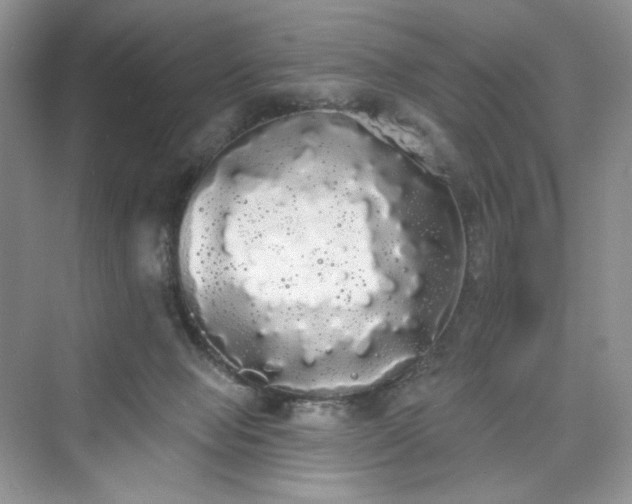 X0000076060077200609291236