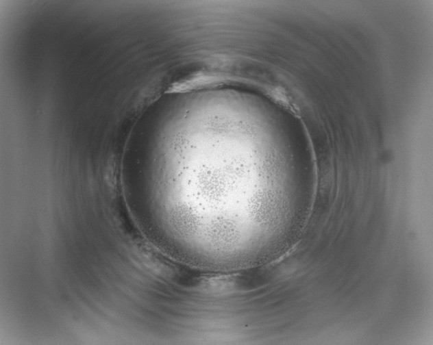 X0000076060078200609291236